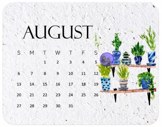 Eco-Friendly Plantable ‘Timeless’ Seed Calendar 2027